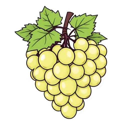 grape